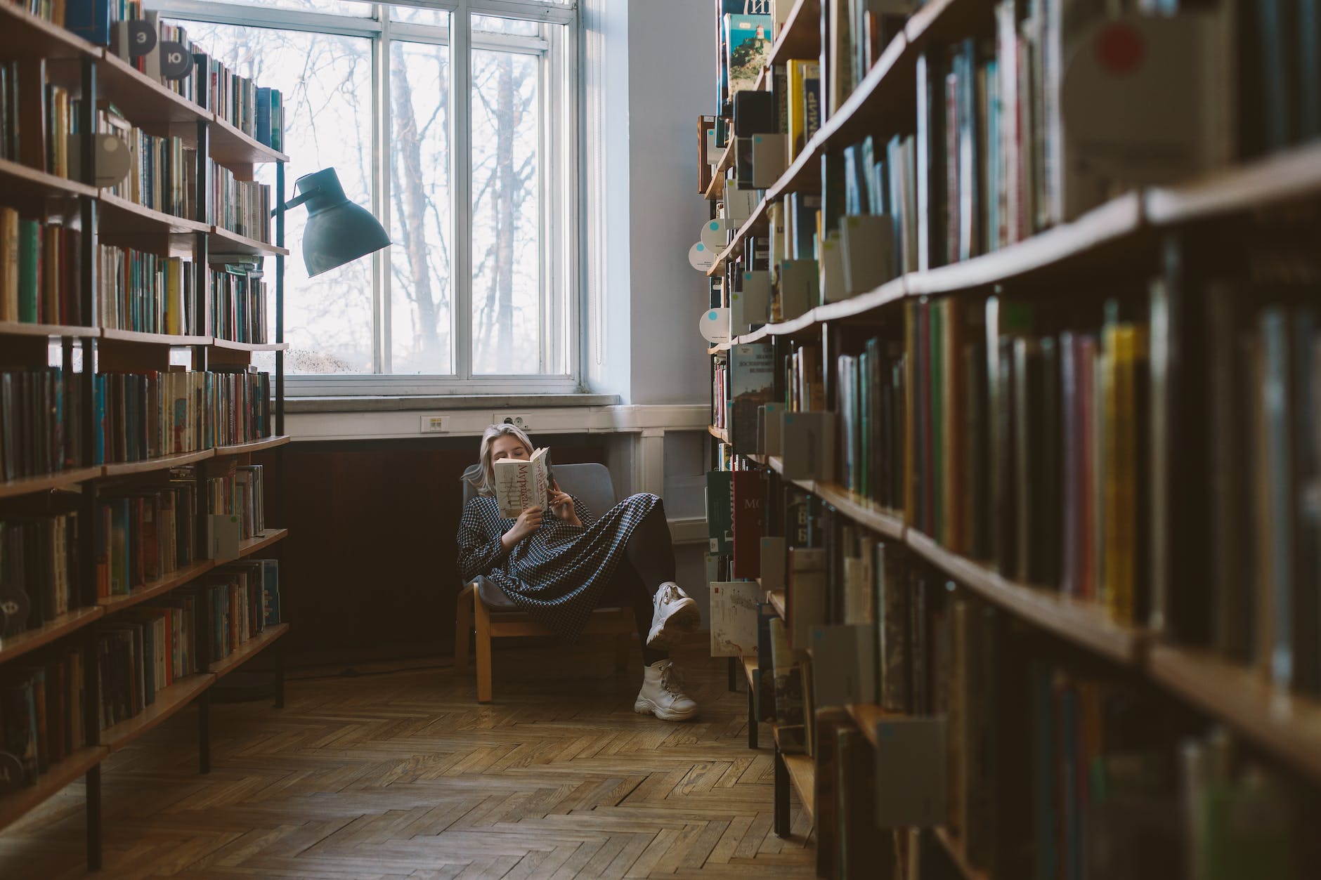 photo of woman reading book